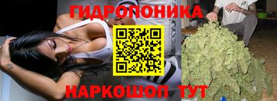 PSILOCYBIN Кунгур