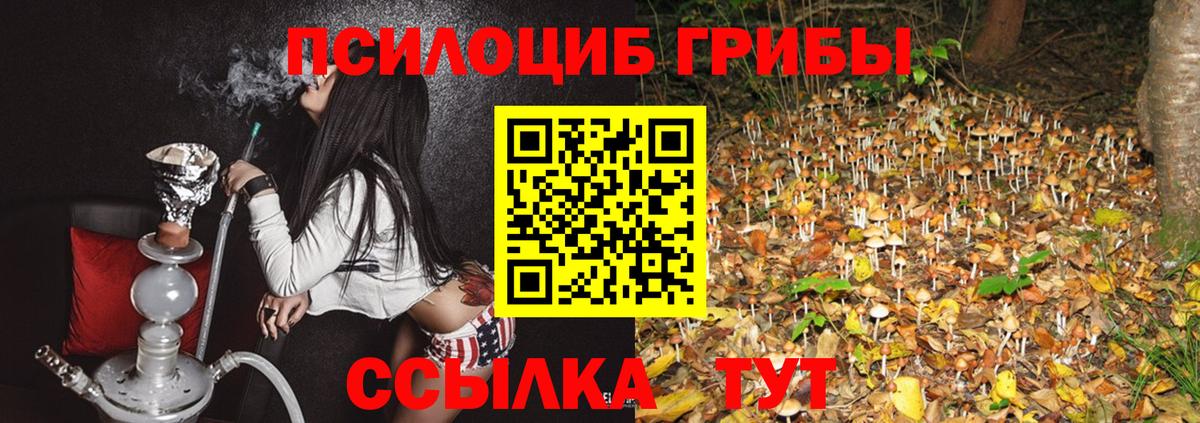 Псилоцибиновые грибы Magic Shrooms  Вход с VPN  Донецк  Галлюциногенные грибы мухоморы 