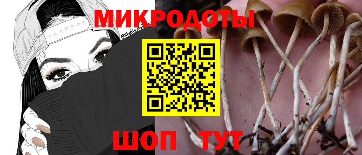 Псилоцибиновые грибы ЛСД Донецк